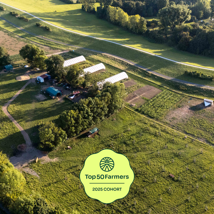 Bring a business friend Vol. 2 - Marienburg Monheim - Dienstag, 01.09.26