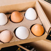 Marienhof Hühner Eier  6 Stück