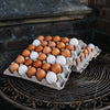 Marienhof Hühner Eierlage 30 Stück