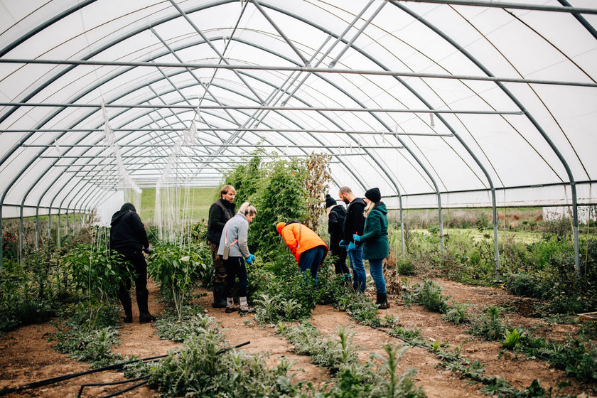 Magische Marienburg – 