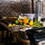 16.03.2024 - Grillseminar "Frühlingserwachen"