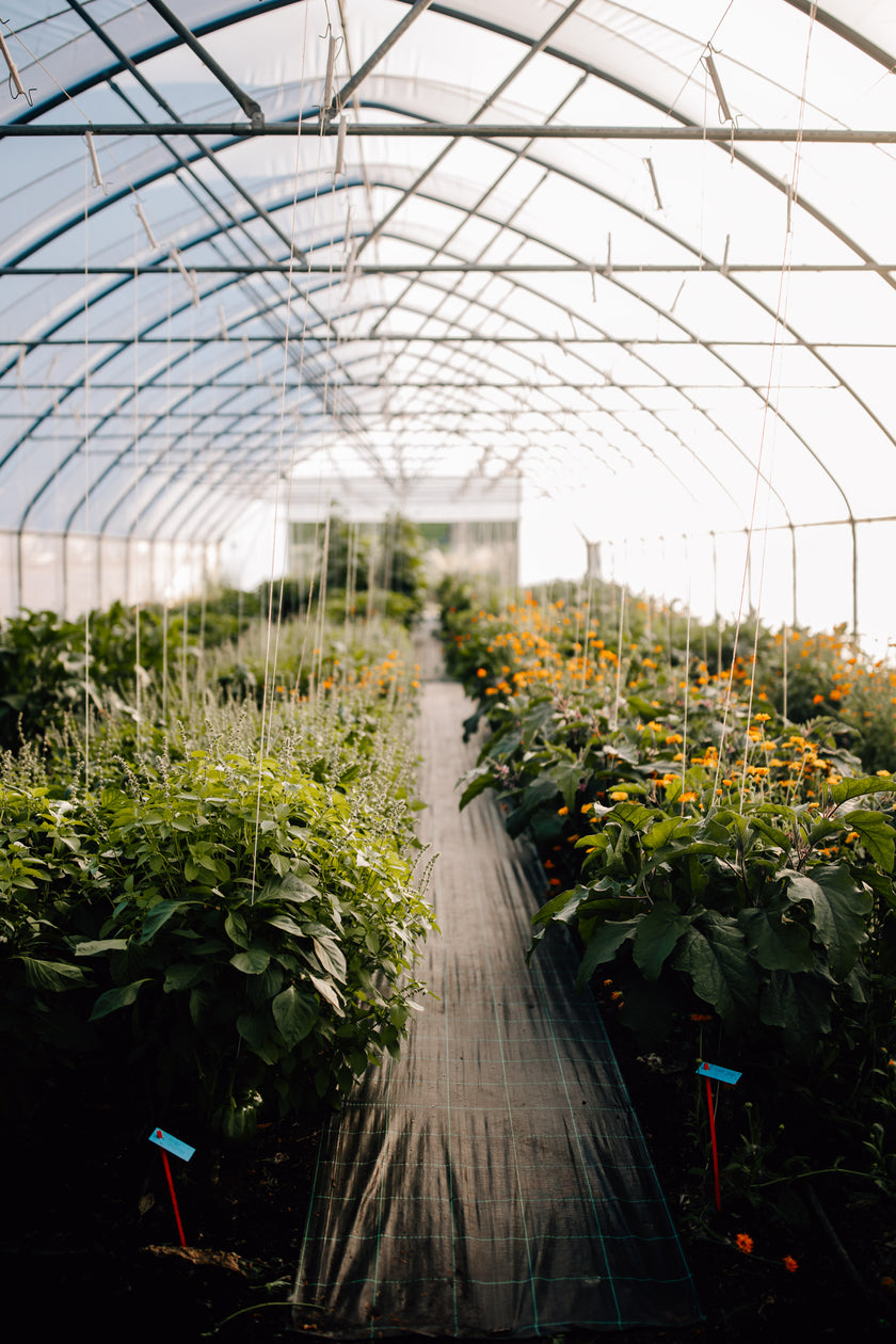 Hofglück – Farm to table