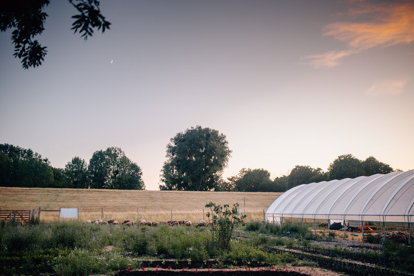 Magische Marienburg – 