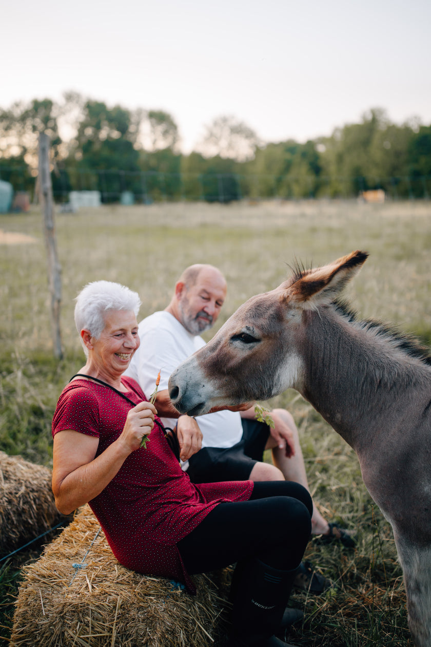 Tierpatenschaft Esel