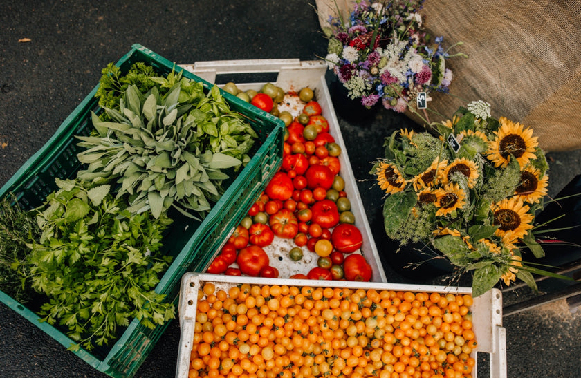 Magische Marienburg – 