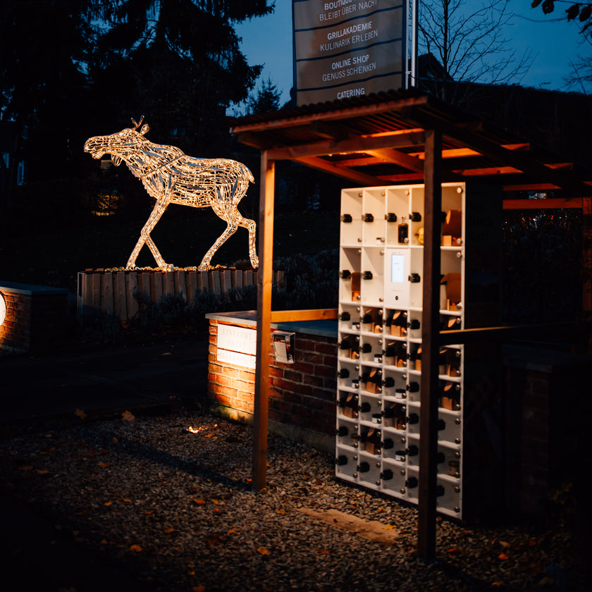 Magische Marienburg – 1. Advent