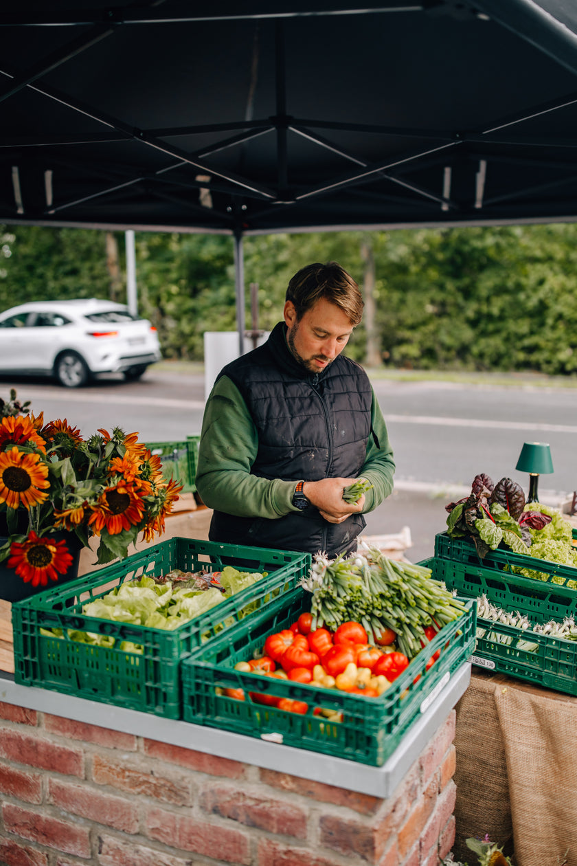 Magische Marienburg – 