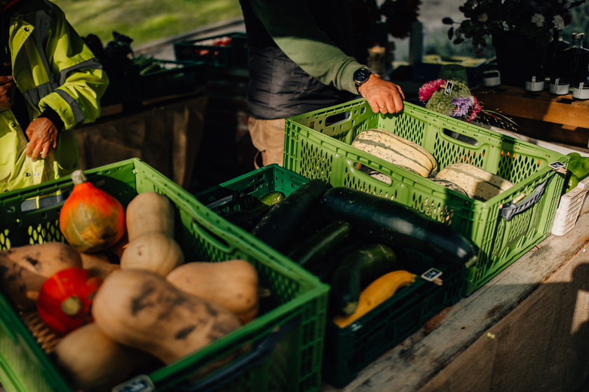 Magische Marienburg – 