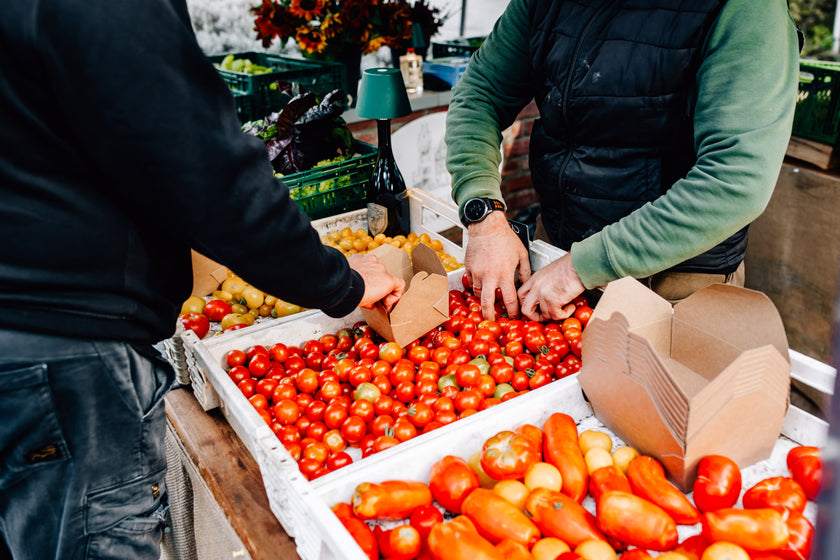 Magische Marienburg – 