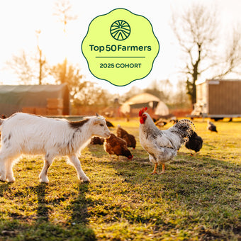 Tierpatenschaft Ziege