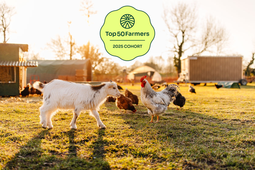 Tierpatenschaft Ziege