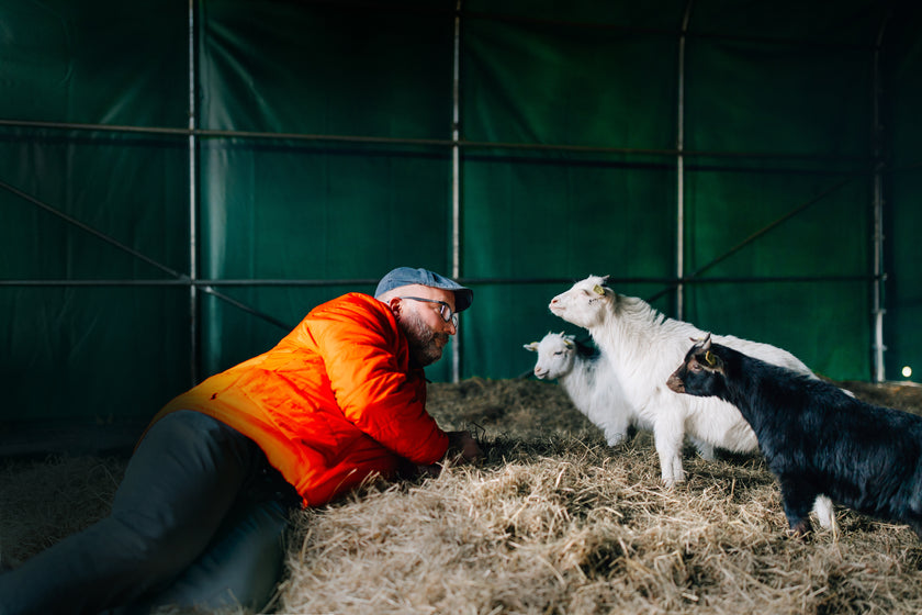 Tierpatenschaft Ziege