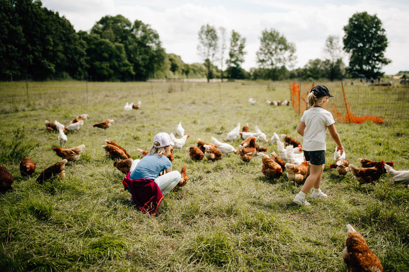 Vormittag auf dem Marienhof – Kindergärten und Schulklasse