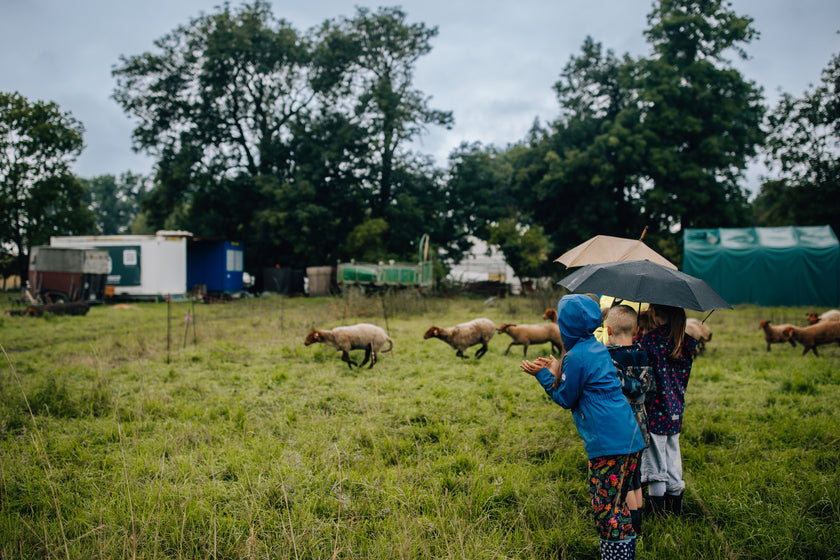 Vormittag auf dem Marienhof – Kindergärten und Schulklasse