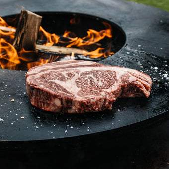 Txogitxu DryAged Steak